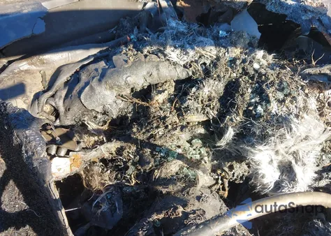 1991 Chevrolet Corvette z USA, uszkodzony, nr VIN 1G1YY2388M5116685